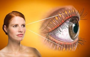 Detailansicht Augenlider als Schutzapparat der Augen.